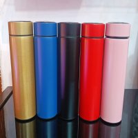 Temprature Bottle (Mix Colour)