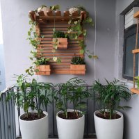 Balcony with wooden wall planters  Design