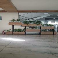 Co-working Office Plantation with Vertical Garden